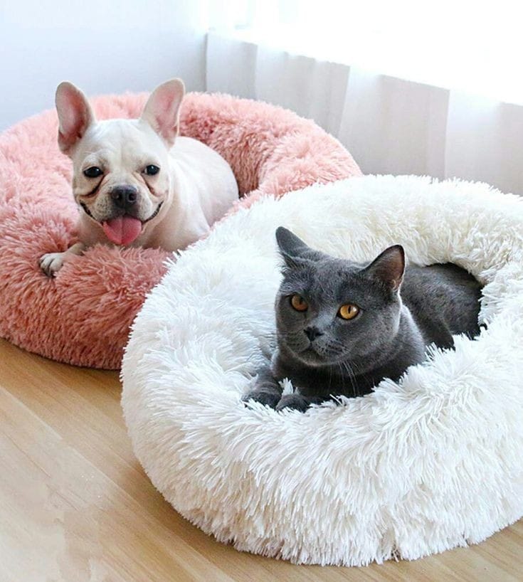 Cama Dona Antiestrés para Mascotas — Abrazo Cálido para que Duerma Profundo