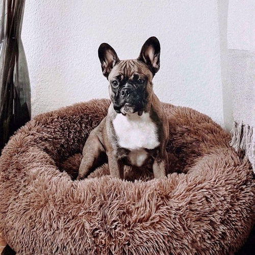 Cama Dona Antiestrés para Mascotas — Abrazo Cálido para que Duerma Profundo