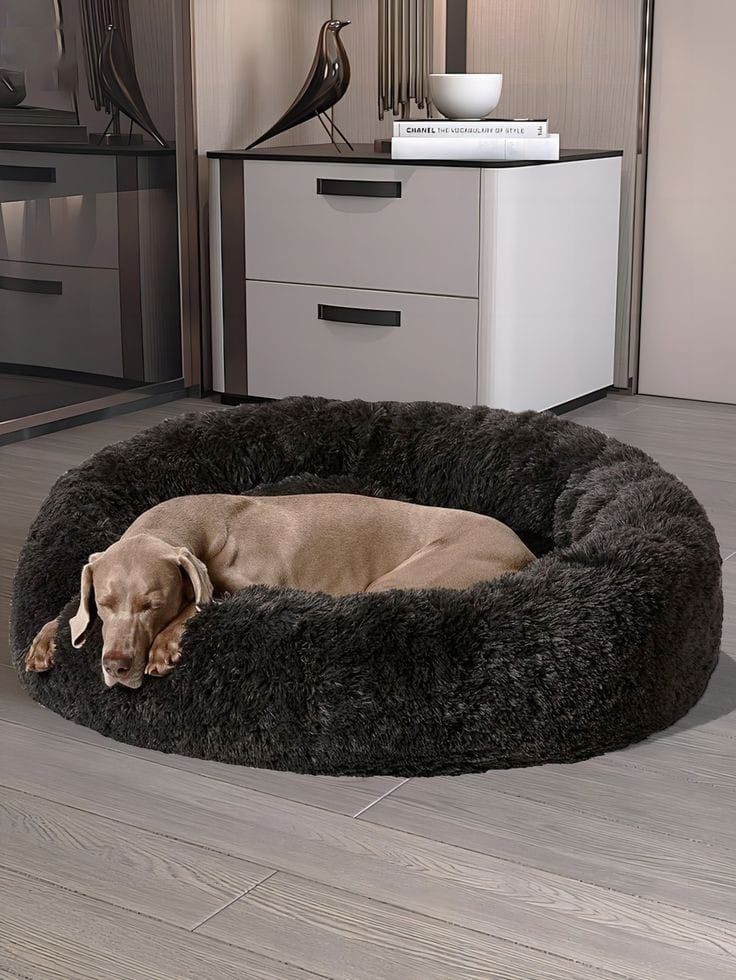 Cama Dona Antiestrés para Mascotas — Abrazo Cálido para que Duerma Profundo