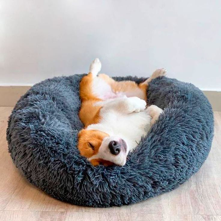 Cama dona antiestrés para mascotas en color marrón