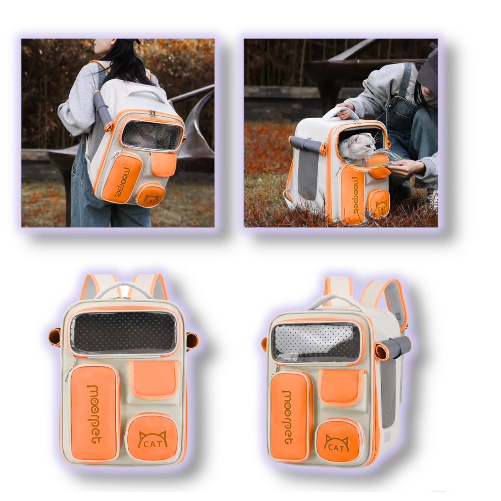 Maleta Mochila para mascotas PECTY para paseo y viaje — imagen 2