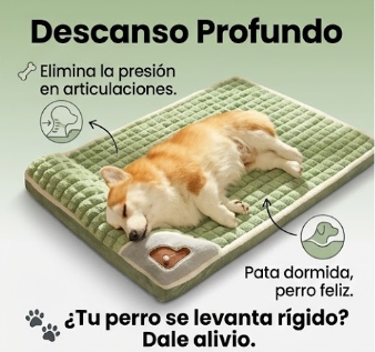 Cama Ortopédica Premium para Mascotas — Cuida sus Articulaciones Mientras Descansa