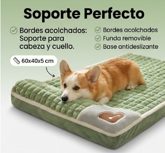 Cama Ortopédica Premium para Mascotas — Cuida sus Articulaciones Mientras Descansa