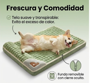 Cama Ortopédica Premium para Mascotas — Cuida sus Articulaciones Mientras Descansa