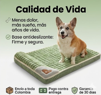 Cama Ortopédica Premium para Mascotas — Cuida sus Articulaciones Mientras Descansa