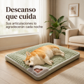Cama Ortopédica Premium para Mascotas — Cuida sus Articulaciones Mientras Descansa