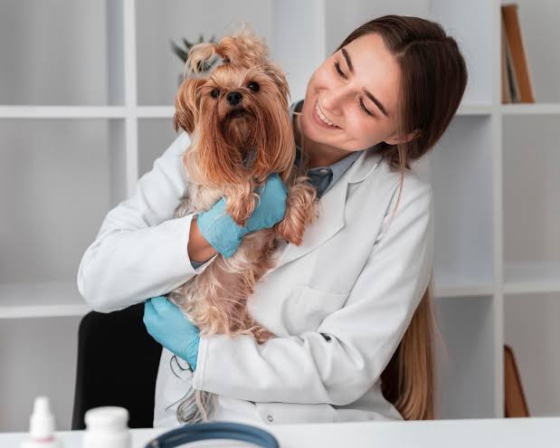 Veterinaria revisando a un perro en consulta